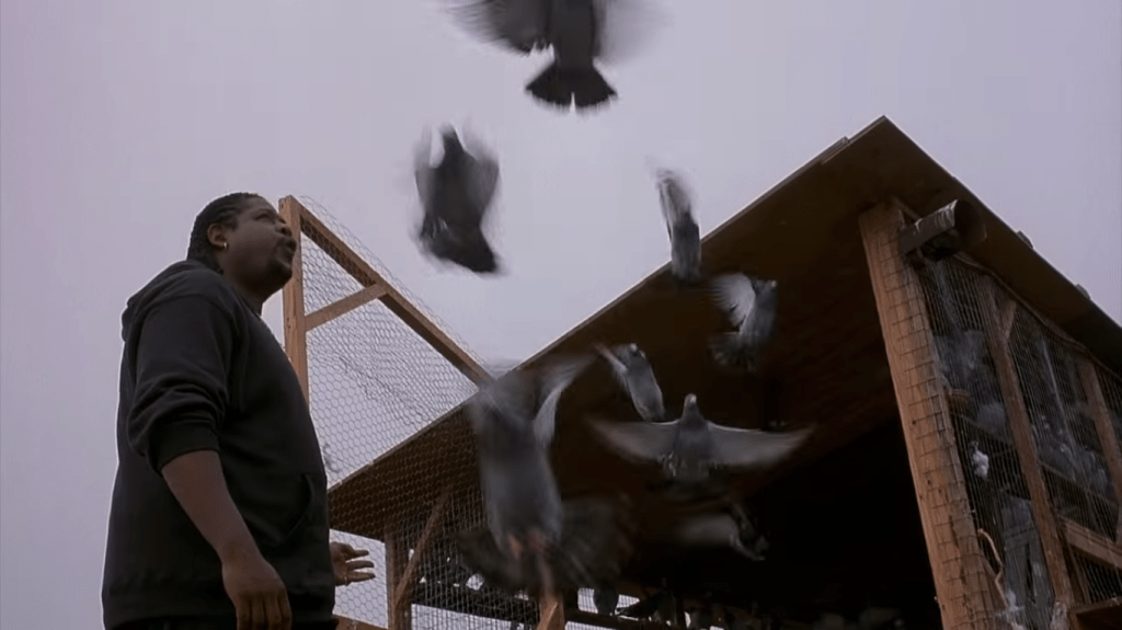 Screen Shot 2016-03-28 at 12.03.13 am