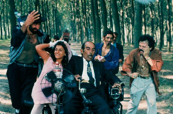 chat-noir-chat-blanc-copyright-dr-mk2-2